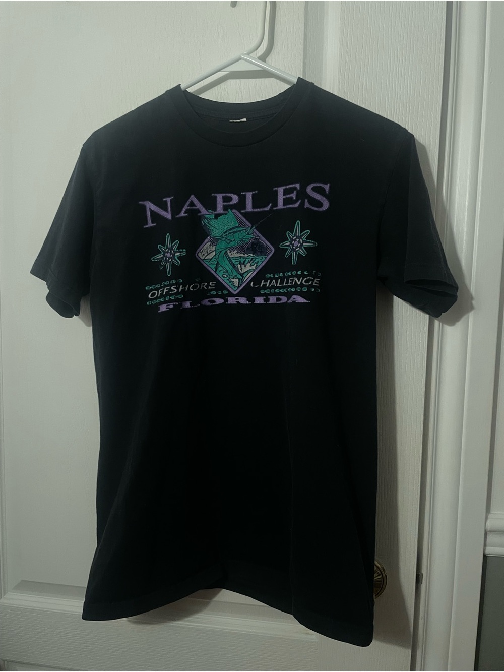 Vintage Naples Florida Graphic Tee - Black with Purple & Teal Print